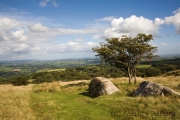 Weg von Ivybridge nach Holne, Pupers Hill