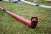 Widecombe Fair, Frettchen-Rennen