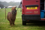 Widecombe Fair