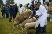 Widecombe Fair