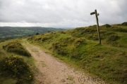 Von Widecombe nach Chagford