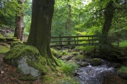 Widecombe nach Chagford, South Tyn River