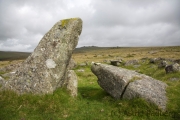 Tavistock nach Princetown, Merirvale