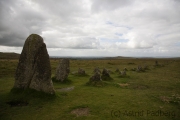 Tavistock nach Princetown, Merirvale