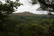 Bovey Tracy nach Moretonhampstead, Hound Tor