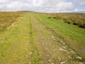 Weg von Ivybridge nach Holne