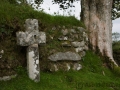 Weg von Holne nach Widecombe