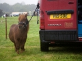 Widecombe Fair