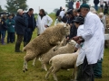 Widecombe Fair