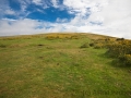 Widecombe nach Chagford, Hameldon Beacon