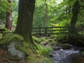 Widecombe nach Chagford, South Tyn River