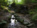 Stepping Stones, Chagford nach Okehampton