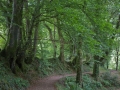 Okehampton nach Lydford, Lydford Gorge