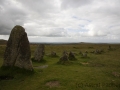 Tavistock nach Princetown, Merirvale