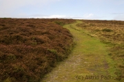 Küstenweg von Heddons Mouth nach Combe Martin