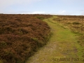 Küstenweg von Heddons Mouth nach Combe Martin