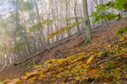Weg zum Peterskopf, Edersee