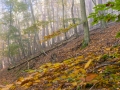 Weg zum Peterskopf, Edersee
