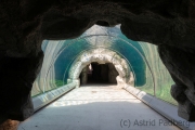 Eisbärentunnel