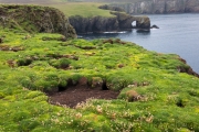 Fair Isle, Küste