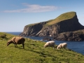 Fair Isle, Sheep Rock