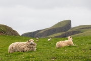 Fair Isle, Sheep Rock