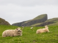 Fair Isle, Sheep Rock