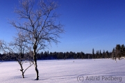 Winterlandschaft