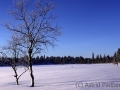 Winterlandschaft