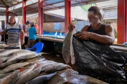 Sir Selwyn Selwyn-Clake Market