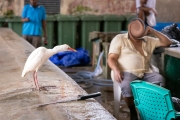 Sir Selwyn Selwyn-Clake Market