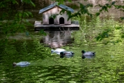 Haus im See