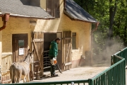Gehegereinigung mit Laubpuster