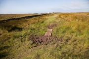 Hadrianswall zwischen Housesteads und Humshaugh