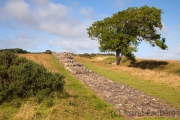 Black Carts Turret 29, zwischen Housesteads und Humshaugh