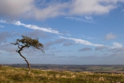 Zwischen Housesteads und Humshaugh