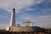 St Mary's Island / Lighthouse