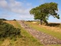 Black Carts Turret 29, zwischen Housesteads und Humshaugh