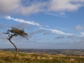 Zwischen Housesteads und Humshaugh