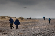 Helgoland