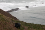 Helgoland