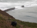 Helgoland