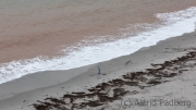 Helgoland - Nordstrand
