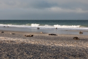 Helgoland