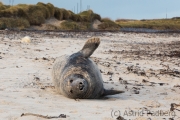 Helgoland