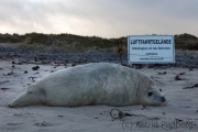 Helgoland