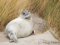 Helgoland