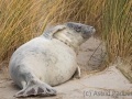 Helgoland