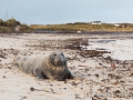 Helgoland