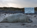 Helgoland